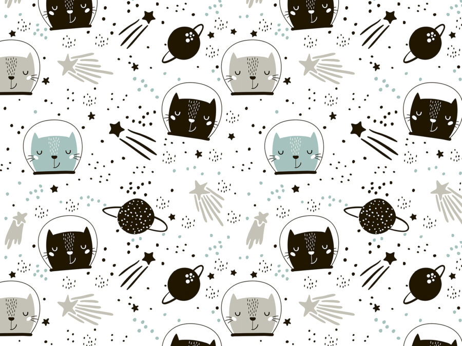 Pattern of cats in space u85422p 900x675 - Pattern of cats in space - tegory