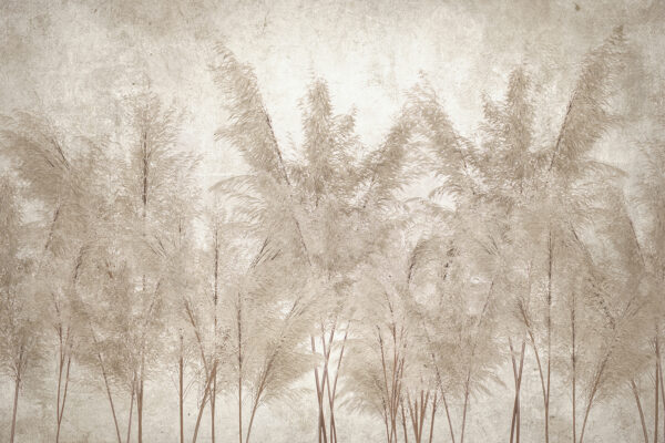 Group of trees with white leaves Group of trees with white leaves