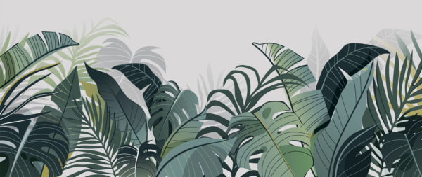 Group of green leaves u78576p 600x253 - Group of green leaves - tegory