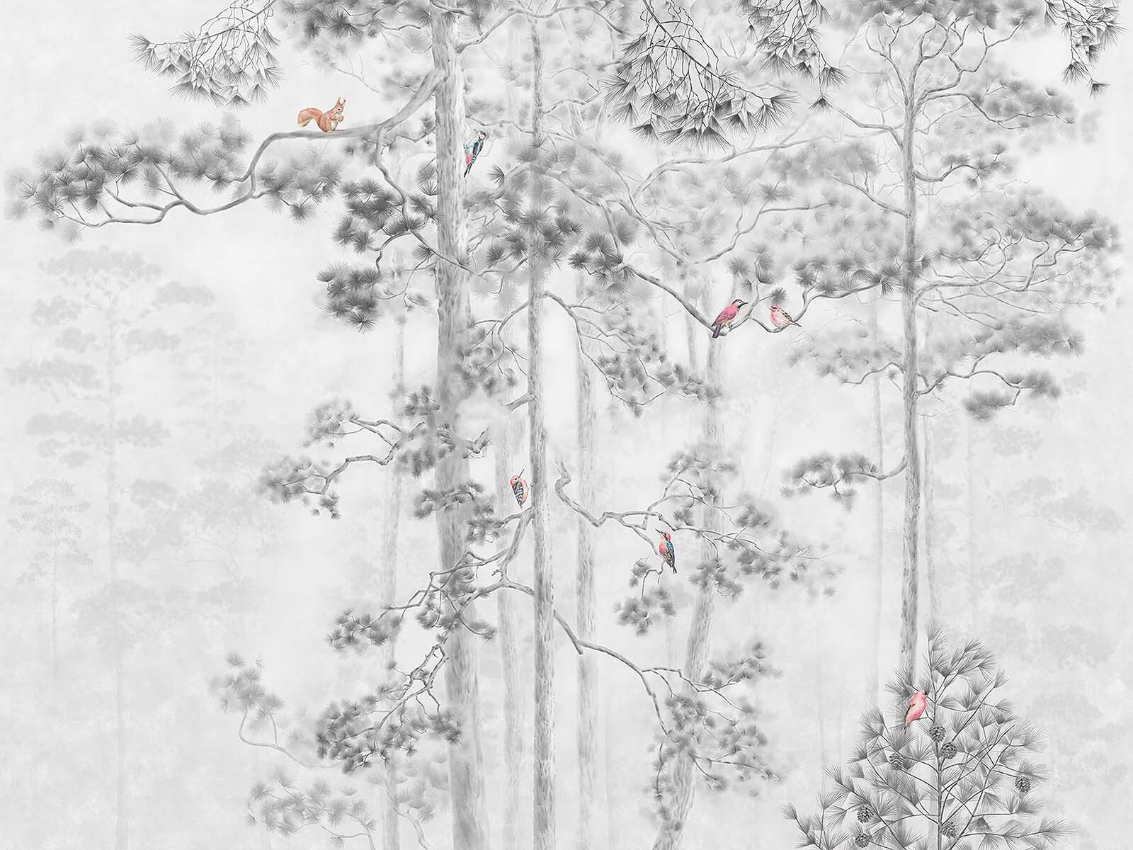 Group of birds on trees Group of birds on trees