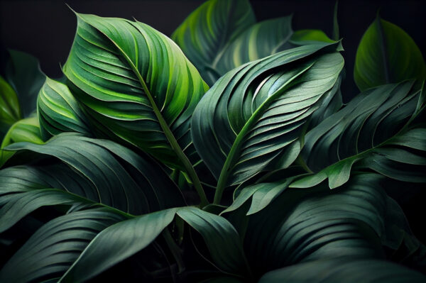 Lush green leaves in soft light u75757p 600x399 - Lush green leaves in soft light