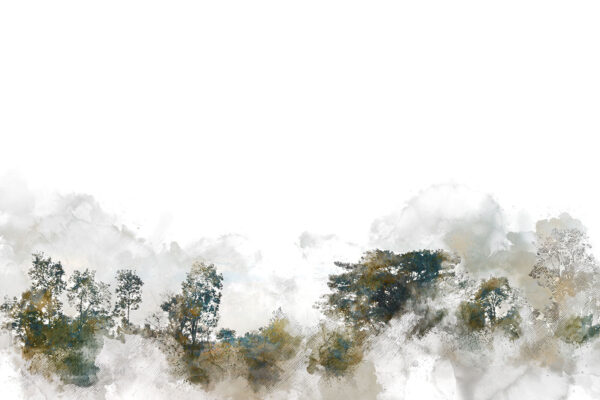 Watercolor of trees and clouds Watercolor of trees and clouds
