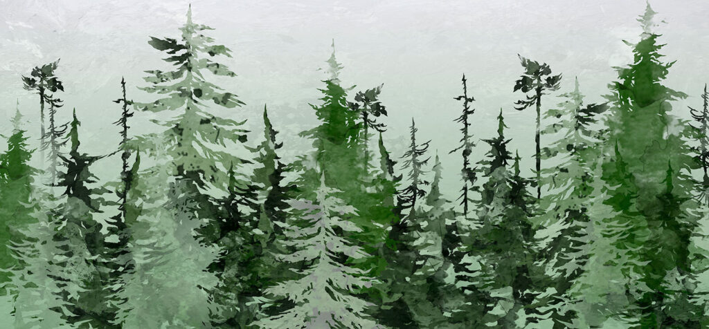 Group of trees in a forest Group of trees in a forest