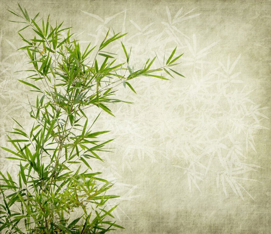 Wall murals Lush bamboo against a textured background. - Image 4