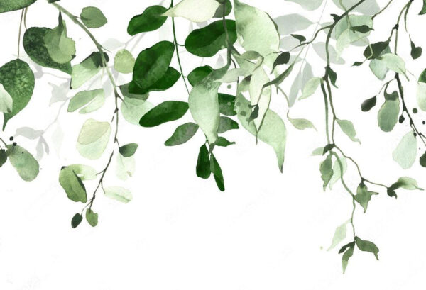 Elegant green leaves background design. Elegant green leaves background design.