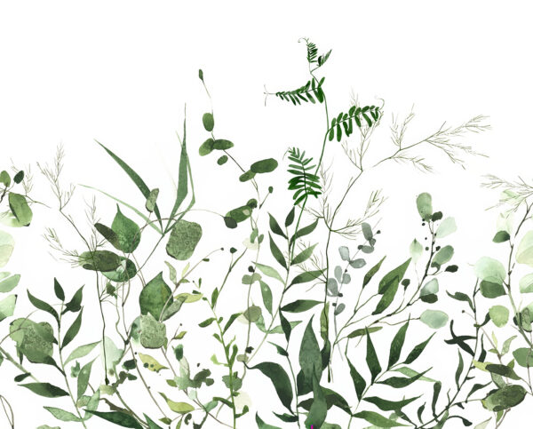 Lush greenery on a white background. Lush greenery on a white background.
