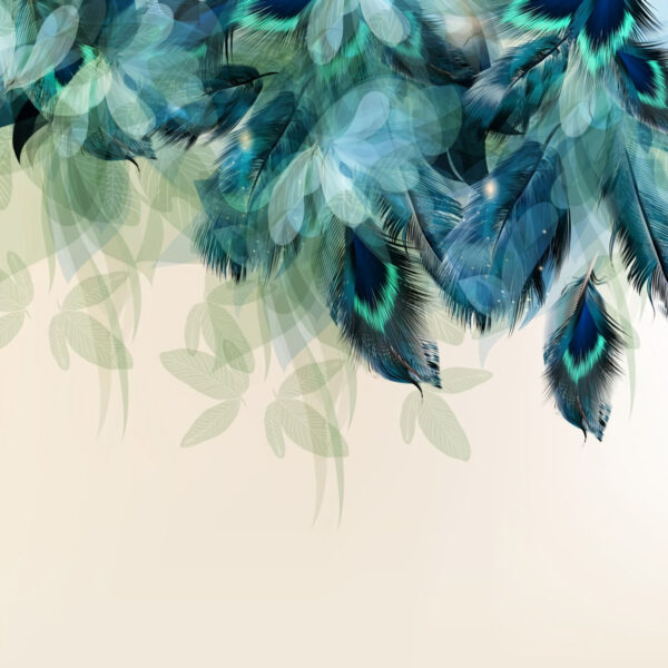 Blue and green feathers u72316p 600x600 - Blue and green feathers