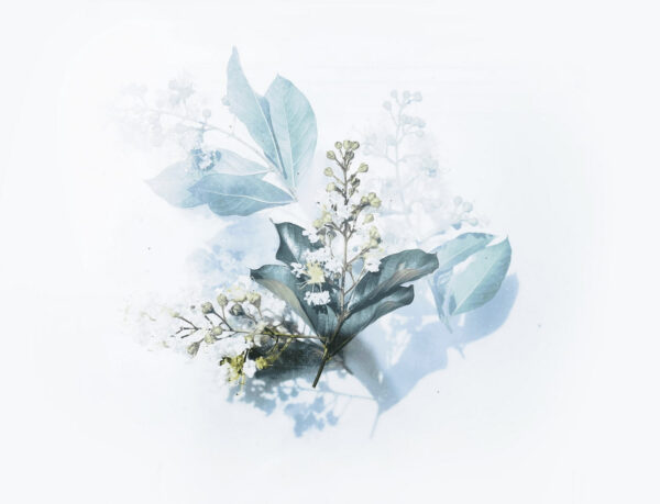 Gently arranged nature's elegant touch u72151p 600x459 - Gently arranged nature's elegant touch - tegory