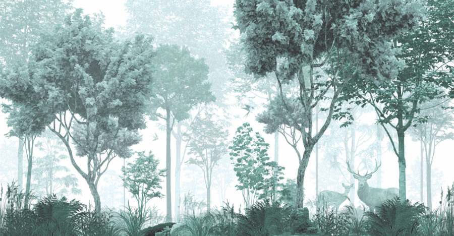 A forest with trees and plants