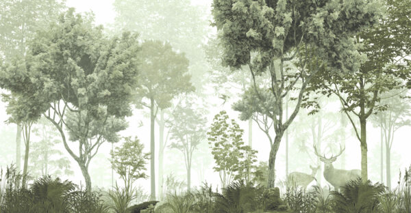 A forest with trees and plants