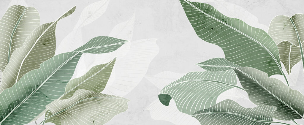 Soft greens and calming textures. Soft greens and calming textures.