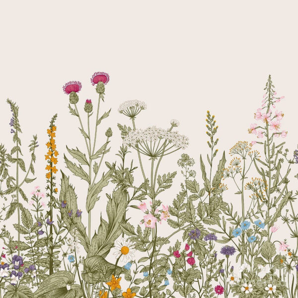 Row of flowers and plants Row of flowers and plants