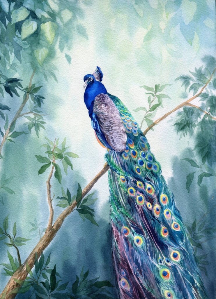 Watercolor of a peacock on a branch Watercolor of a peacock on a branch