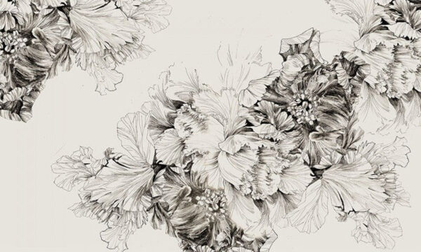 Drawing of flowers on a white background u71530p 600x360 - Drawing of flowers on a white background - tegory