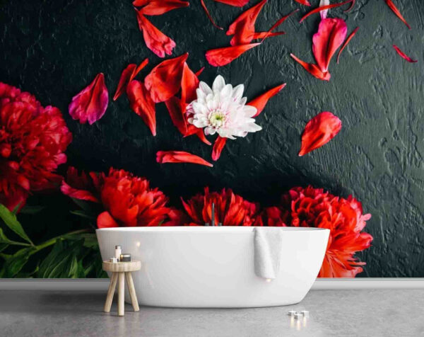 Group of red flowers with petals on a black surface u71471pit1m 600x476 - Group of red flowers with petals on a black surface - tegory