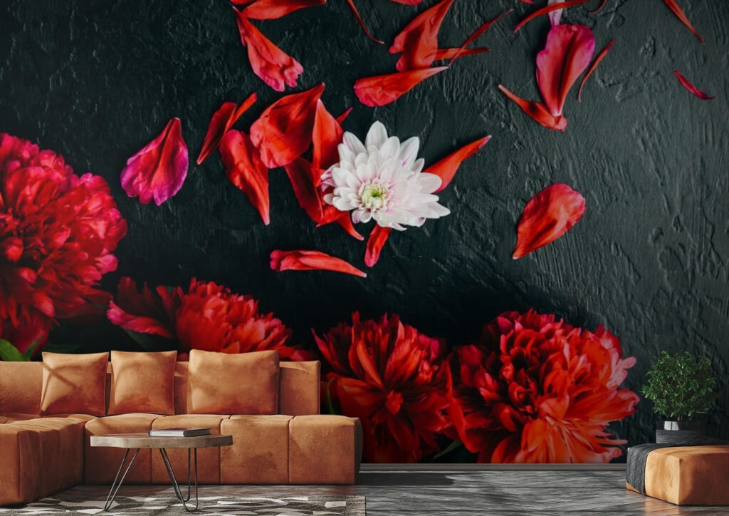 Group of red flowers with petals on a black surface u71471pig1 1024x724 - Group of red flowers with petals on a black surface - tegory