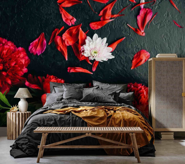 Group of red flowers with petals on a black surface u71471pib1 600x534 - Group of red flowers with petals on a black surface - tegory