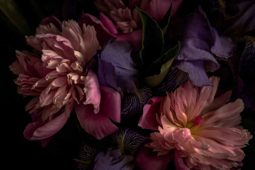 Delicate petals in soft colors u71468p 1024x683 - Delicate petals in soft colors - tegory