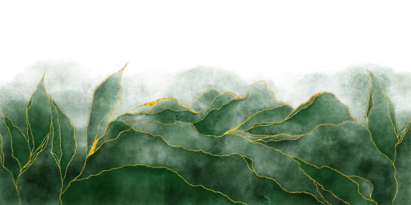Soft green hues and delicate lines. u71351p 600x300 - Soft green hues and delicate lines. - tegory