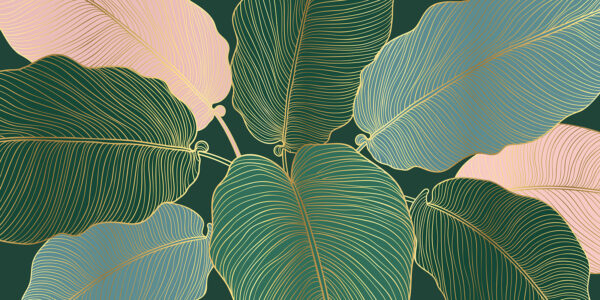 Tropical leaves with elegant lines Tropical leaves with elegant lines