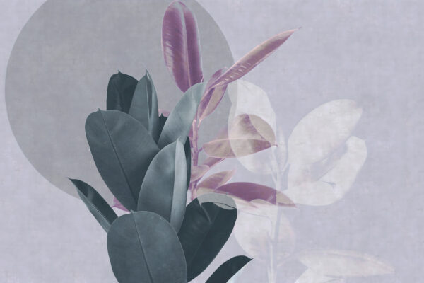 Elegant foliage with soft color tones. Elegant foliage with soft color tones.