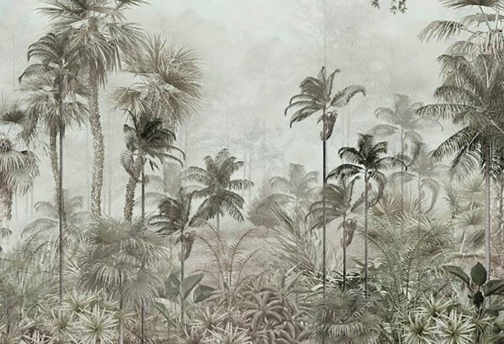 Group of palm trees in a foggy forest u71259p 1024x698 - Group of palm trees in a foggy forest - tegory