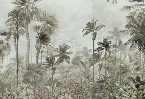 Group of palm trees in a foggy forest u71259p 600x409 - Group of palm trees in a foggy forest - tegory
