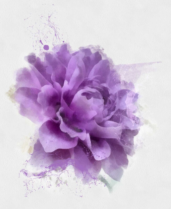 Purple flower with paint splashes u67624p 600x735 - Purple flower with paint splashes - tegory