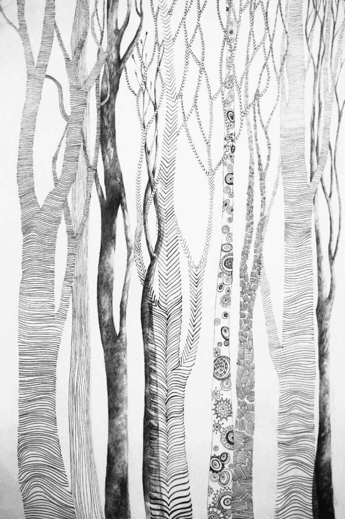 Drawing of trees with lines on it u65562p 680x1024 - Drawing of trees with lines on it - tegory
