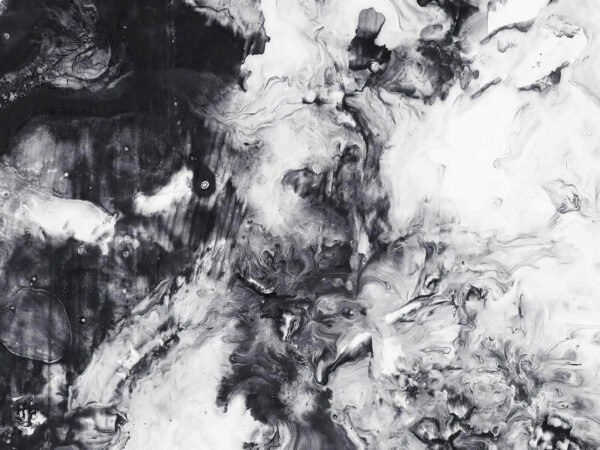 Black and white painting u65324p 600x450 - Black and white painting - tegory