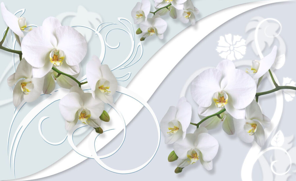 Beautiful orchids on a soft background u63511p 1024x627 - Beautiful orchids on a soft background - tegory