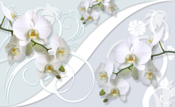 Beautiful orchids on a soft background u63511p 600x368 - Beautiful orchids on a soft background - tegory