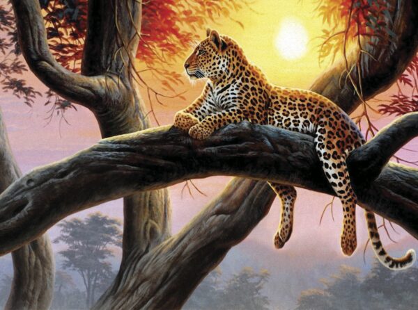 Leopard lying on a tree branch Leopard lying on a tree branch