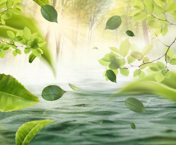 Water with leaves flying through the air u62860p 600x495 - Water with leaves flying through the air - tegory