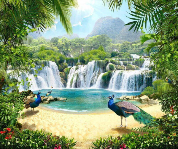 Waterfall and birds in a forest Waterfall and birds in a forest
