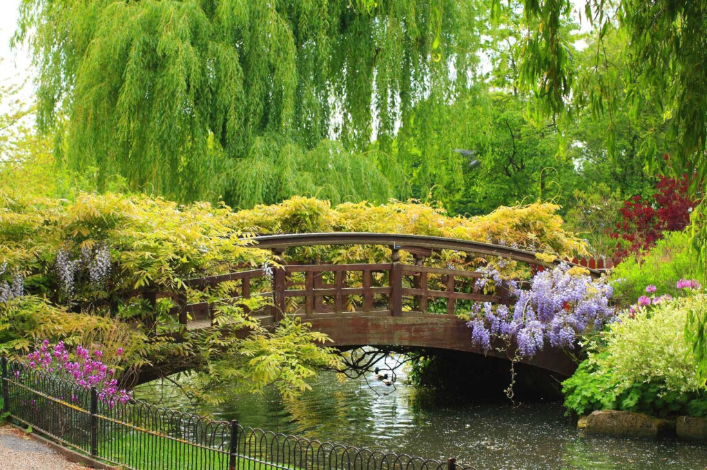 Bridge over water with trees and plants u62526p 1024x682 - Bridge over water with trees and plants - tegory