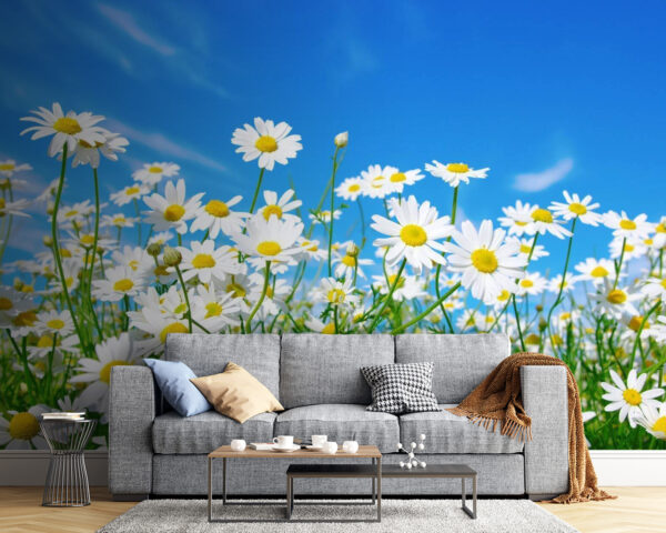 Field of white and yellow flowers u62523pig54 600x480 - Field of white and yellow flowers - tegory