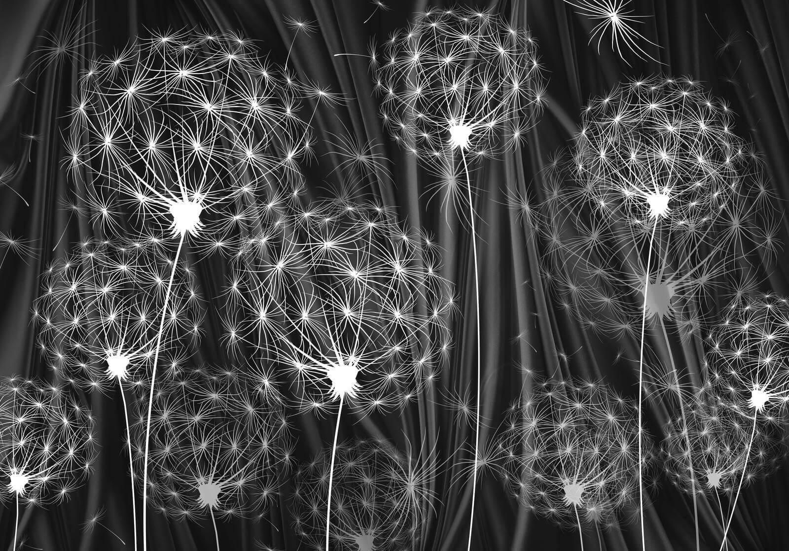 Delicate seeds ready to disperse u61443p - Delicate seeds ready to disperse - tegory