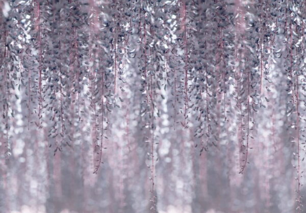 Delicate leaves in soft colors u59136p 600x418 - Delicate leaves in soft colors - tegory