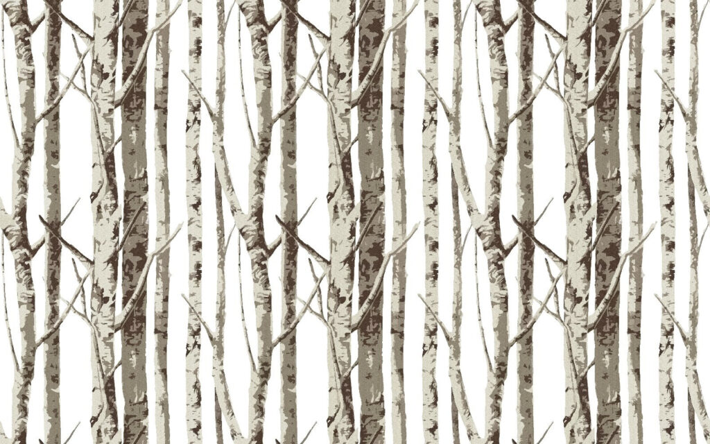 Group of trees with no leaves Group of trees with no leaves