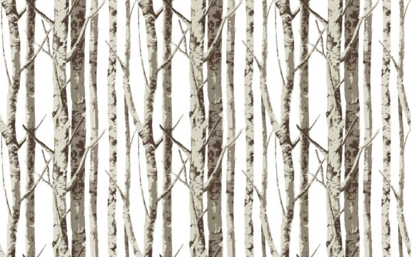 Group of trees with no leaves Group of trees with no leaves