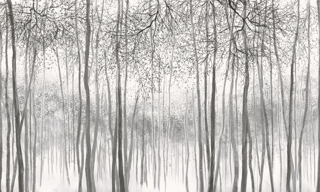 Group of trees in a snowy forest u58938v2p 1024x614 - Group of trees in a snowy forest - tegory