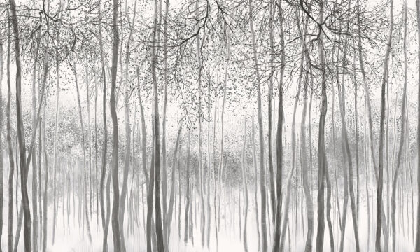Group of trees in a snowy forest u58938v2p 600x360 - Group of trees in a snowy forest - tegory