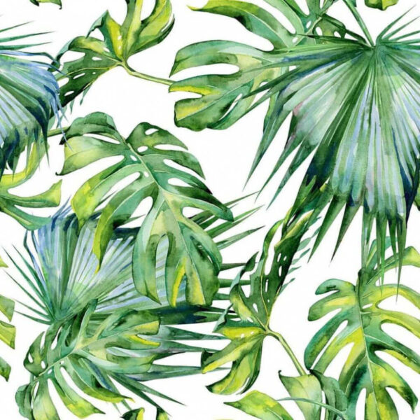 A close up of leaves u58625p 600x600 - A close up of leaves - tegory