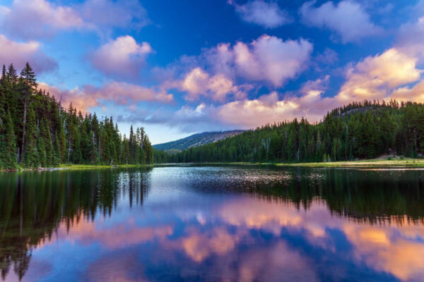 Lake surrounded by trees and mountains u58610p 600x400 - Lake surrounded by trees and mountains - tegory