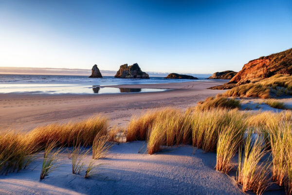 Beach with tall grass and rocks Beach with tall grass and rocks