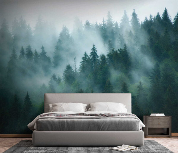 Foggy forest with trees Foggy forest with trees