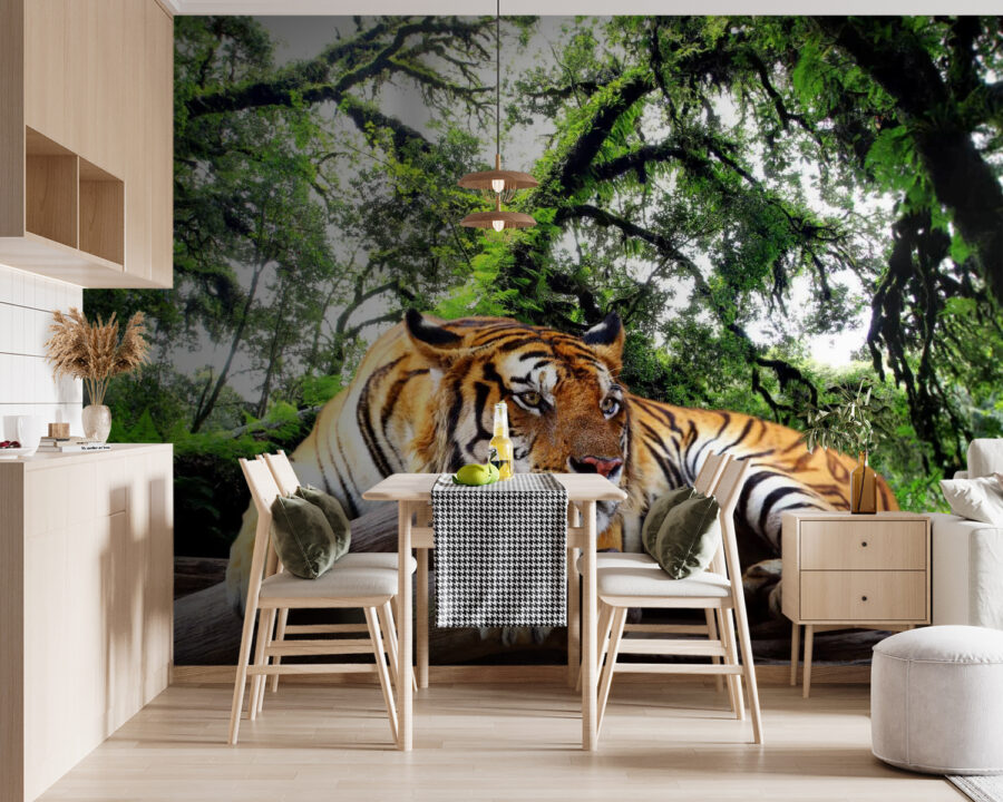 u57805pik119m 900x720 - Tiger lying on a log - tegory