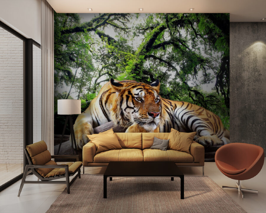 u57805pig28 900x720 - Tiger lying on a log - tegory