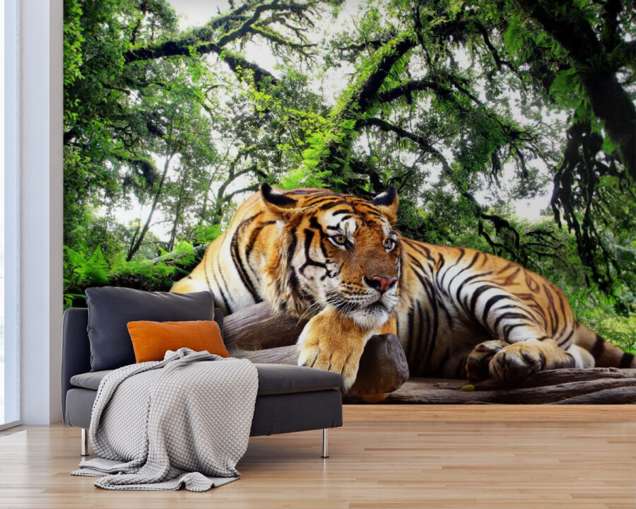 u57805pig25 900x720 - Tiger lying on a log - tegory